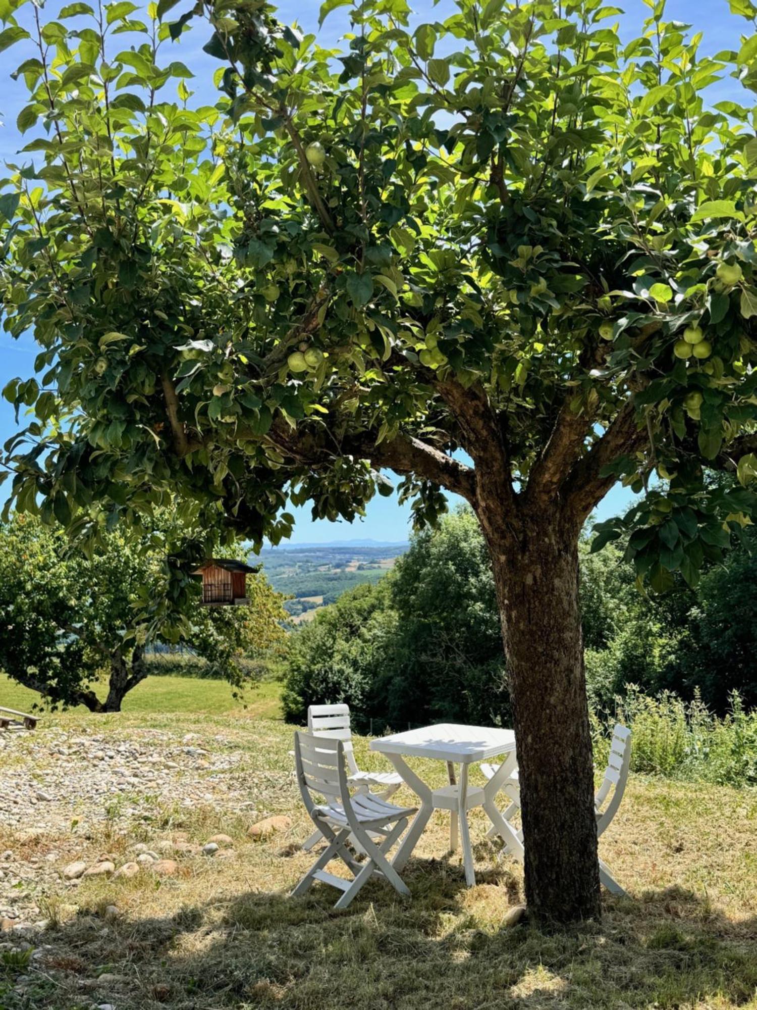Вілла Gite Chez Polo Chateauneuf-de-Galaure Екстер'єр фото